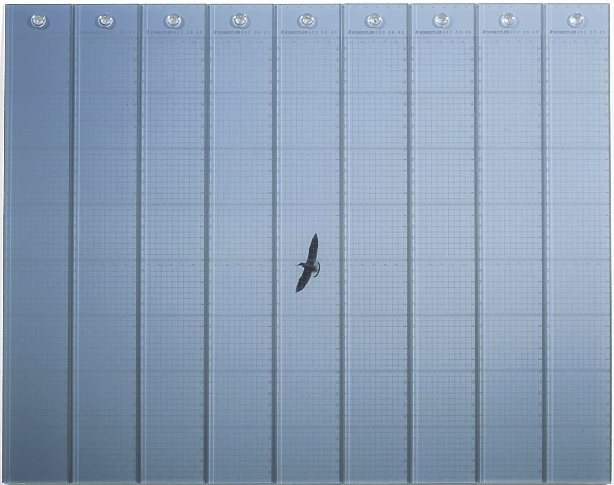 大塚聡　アート　SatoshiOtsuka　Art