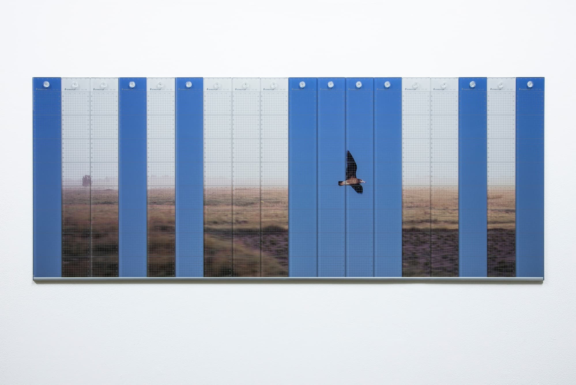 大塚聡　アート　SatoshiOtsuka Art