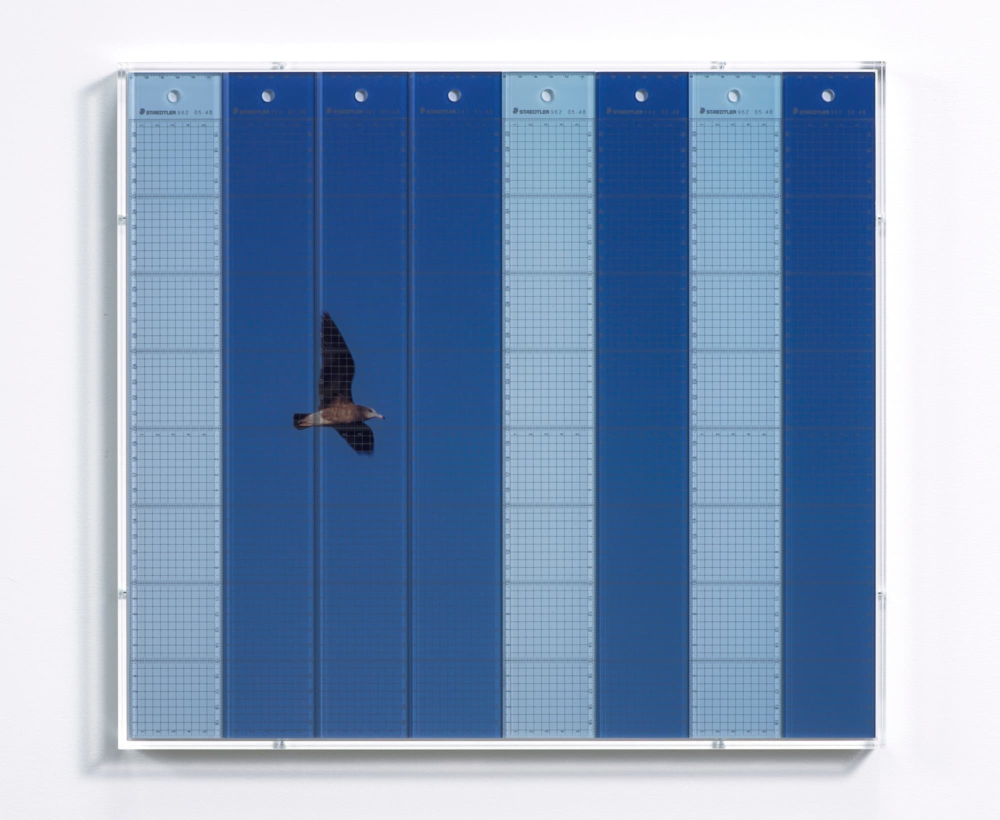 大塚聡　アート　SatoshiOtsuka　Art